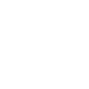 241011 SBF New PL Icons-04