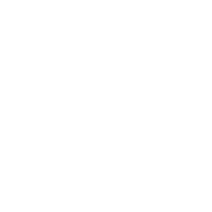 241011 SBF New PL Icons-06